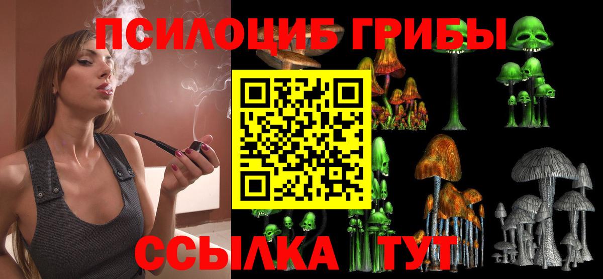 Галлюциногенные грибы GOLDEN TEACHER  Вход с VPN  Екатеринбург  Псилоцибиновые грибы ЛСД 